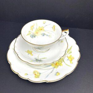 Vintage Hutschenreuther Selb Bavaria Germany Tea Trio Set Cup/ Saucer/Plate